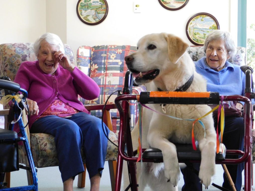 Roy-Wotton-Pet-therapy-1024x768 | RSL LifeCare - provide care and service to war veterans, retirement villages and accommodation, aged care services and assisted living