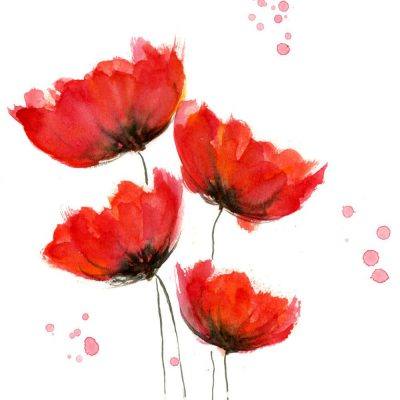 Poppies-e1487893769300 | RSL LifeCare - provide care and service to war veterans, retirement villages and accommodation, aged care services and assisted living