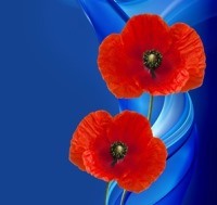 poppy-2920313-v3 | RSL LifeCare - provide care and service to war veterans, retirement villages and accommodation, aged care services and assisted living