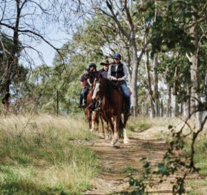 horse trekking