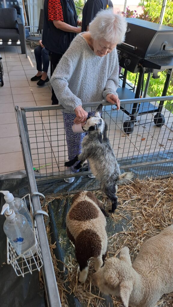 Pet therapy in aged care